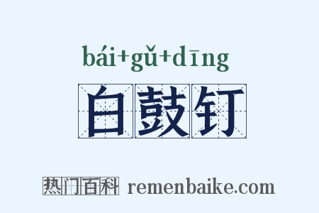 白鼓钉是什么意思的图片